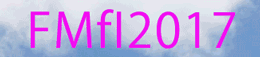 FMfI2017